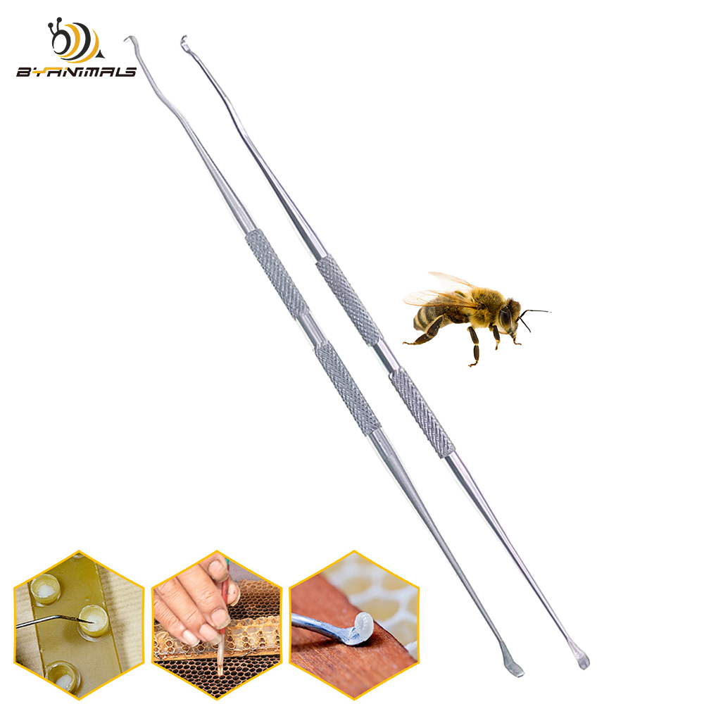Perfume Queen - Two End Straight Stainless Steel Queen