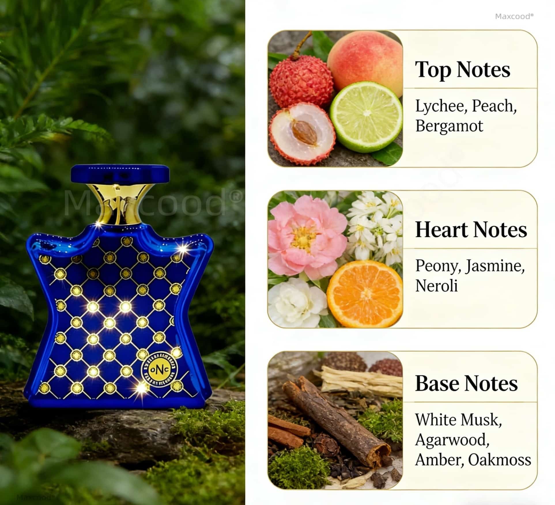 Citrus and Floral Perfume Long - Perfume Floral Fragrance review and price