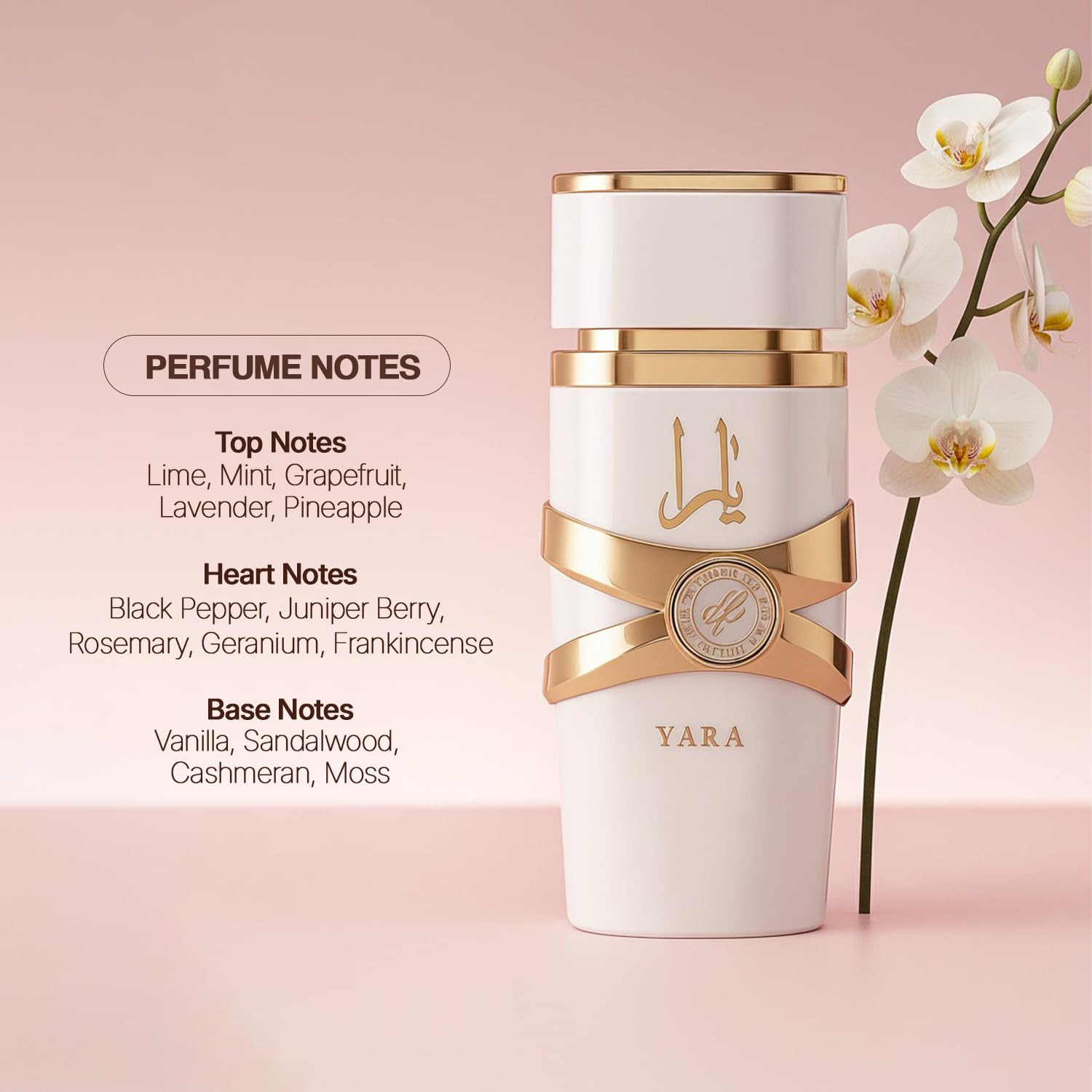 Yara Moi - 3.4 oz Floral, Frui - Yara Perfume Fragrance review and price
