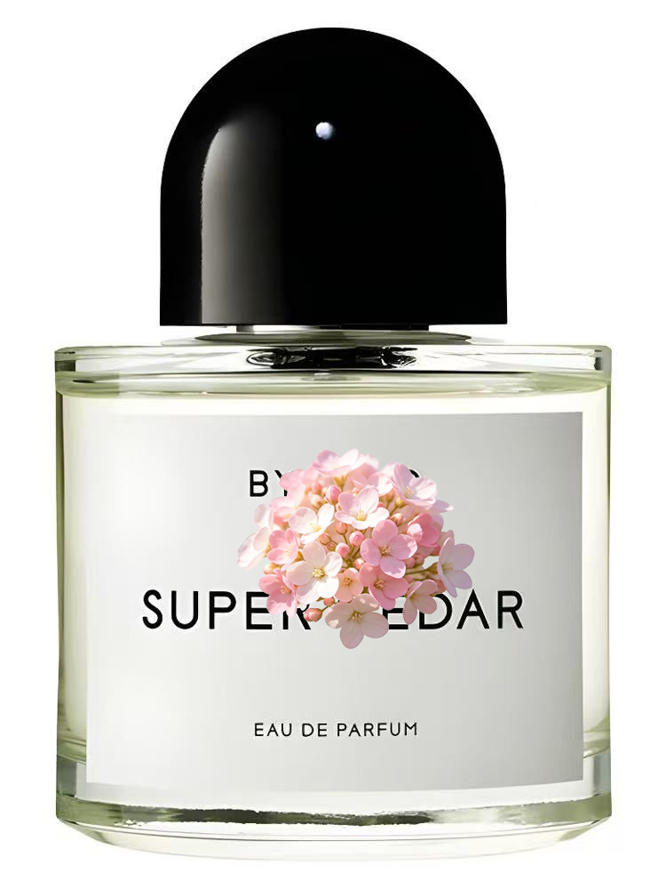 Unisex Eau de Parfum 100ml 3.4 - Perfume Floral Fragrance review and price